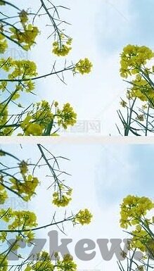 91麻豆精品国产偷-麻豆，国产精品系列之——解析现代商业浪潮下的文化消费新趋势