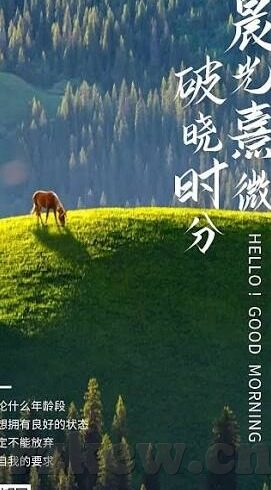 果冻传媒杨美娟-探寻果冻传媒的璀璨之星，杨美娟的传媒艺术之旅