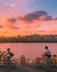 糖心app短视频下载-解锁娱乐新视界，探索糖心app的短视频下载体验